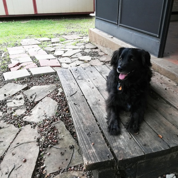 Meet your Posher, Julie - Picture 5 of 7